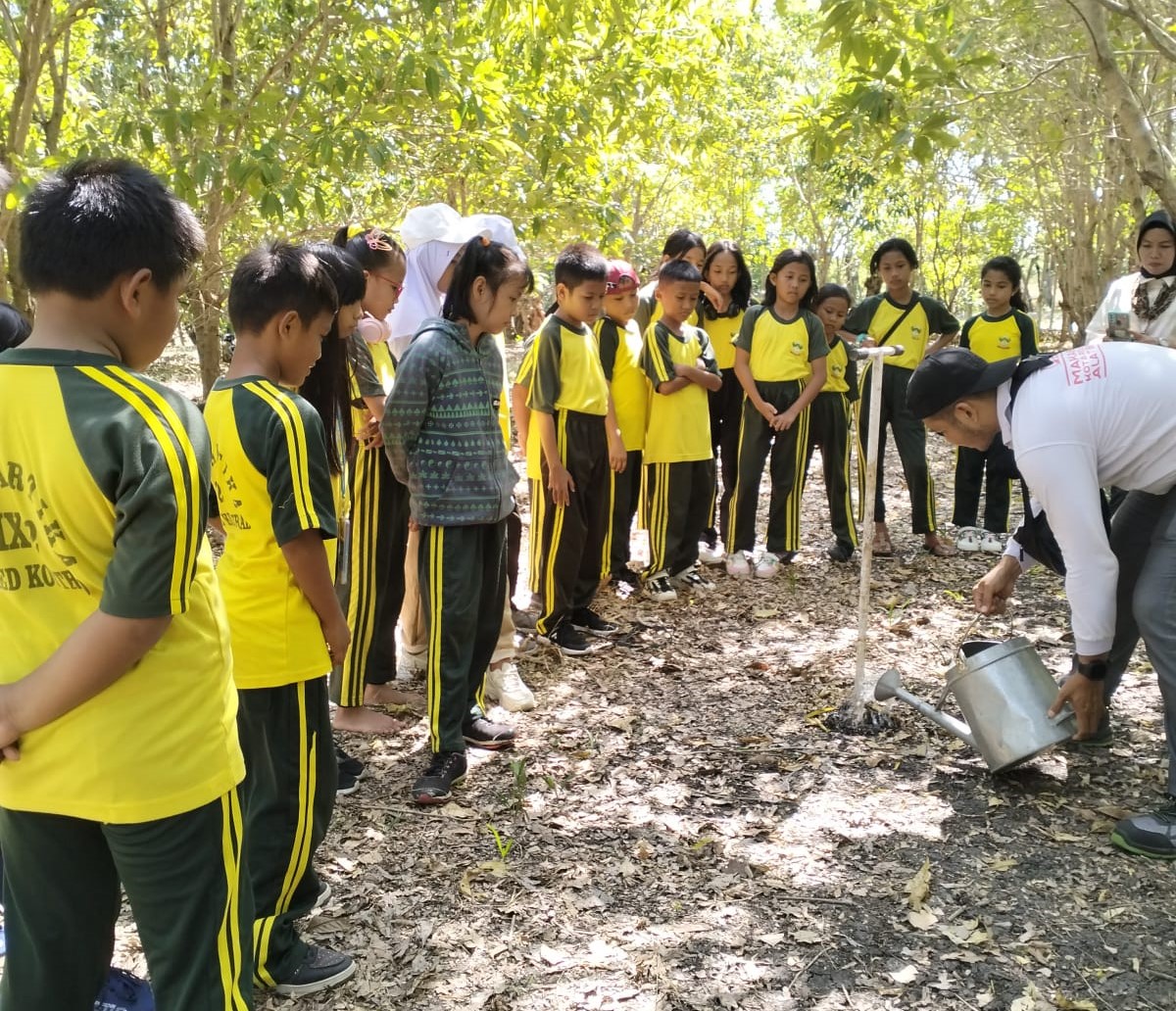 hutan terapi